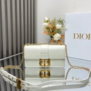 Dior 30 Montaigne East West Bag
