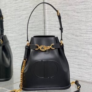 Dior Medium C’est Dior Bag