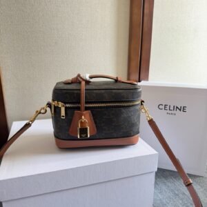Celine Vanity Bag Triomphe Canvas