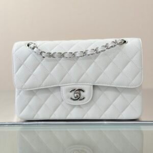Chanel Flap Bag White Silver in Small