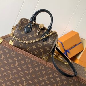 Louis Vuitton Speedy Trunk Bag in Brown Monogram