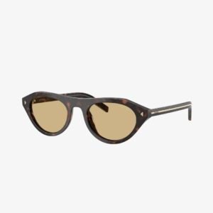 Prada Sunglasses in Brown Print