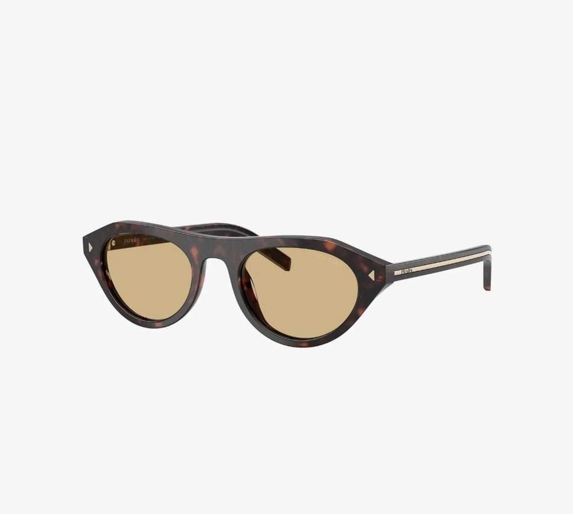 Prada Sunglasses in Brown Print