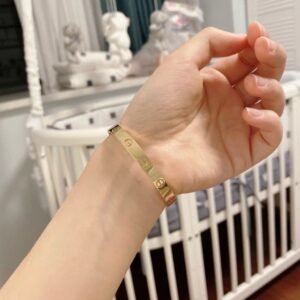 Cartier Love Bracelet in Gold