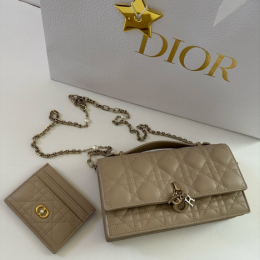 Dior Tassen