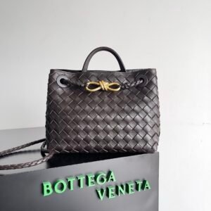 Bottega Veneta Small Andiamo Dark Brown