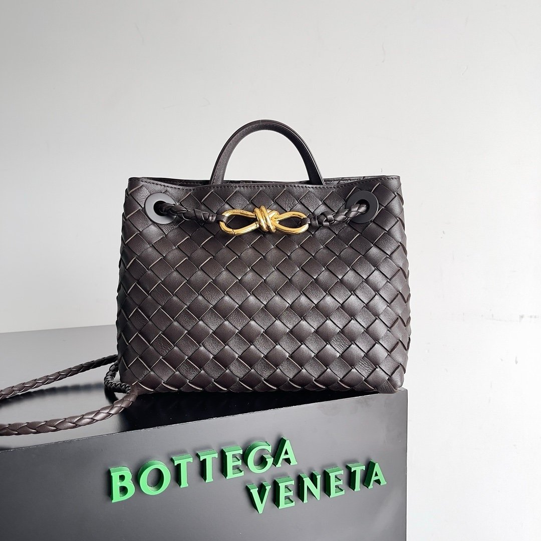 Bottega Veneta Small Andiamo Dark Brown