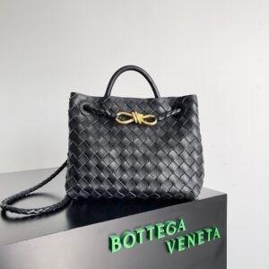 Bottega Veneta Small Andiamo Black