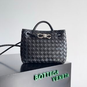 Bottega Veneta Small Andiamo Black