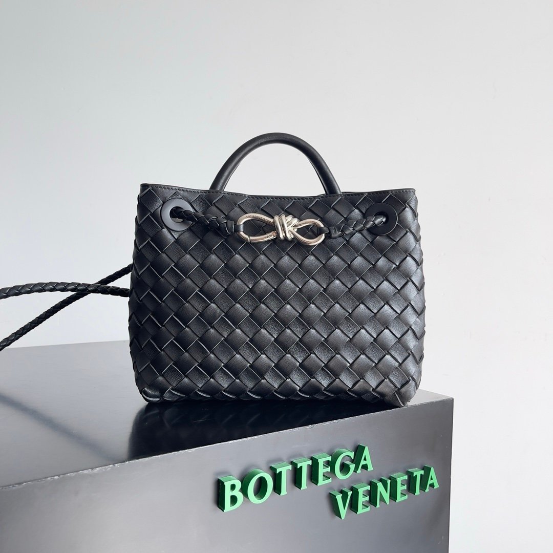 Bottega Veneta Small Andiamo Black