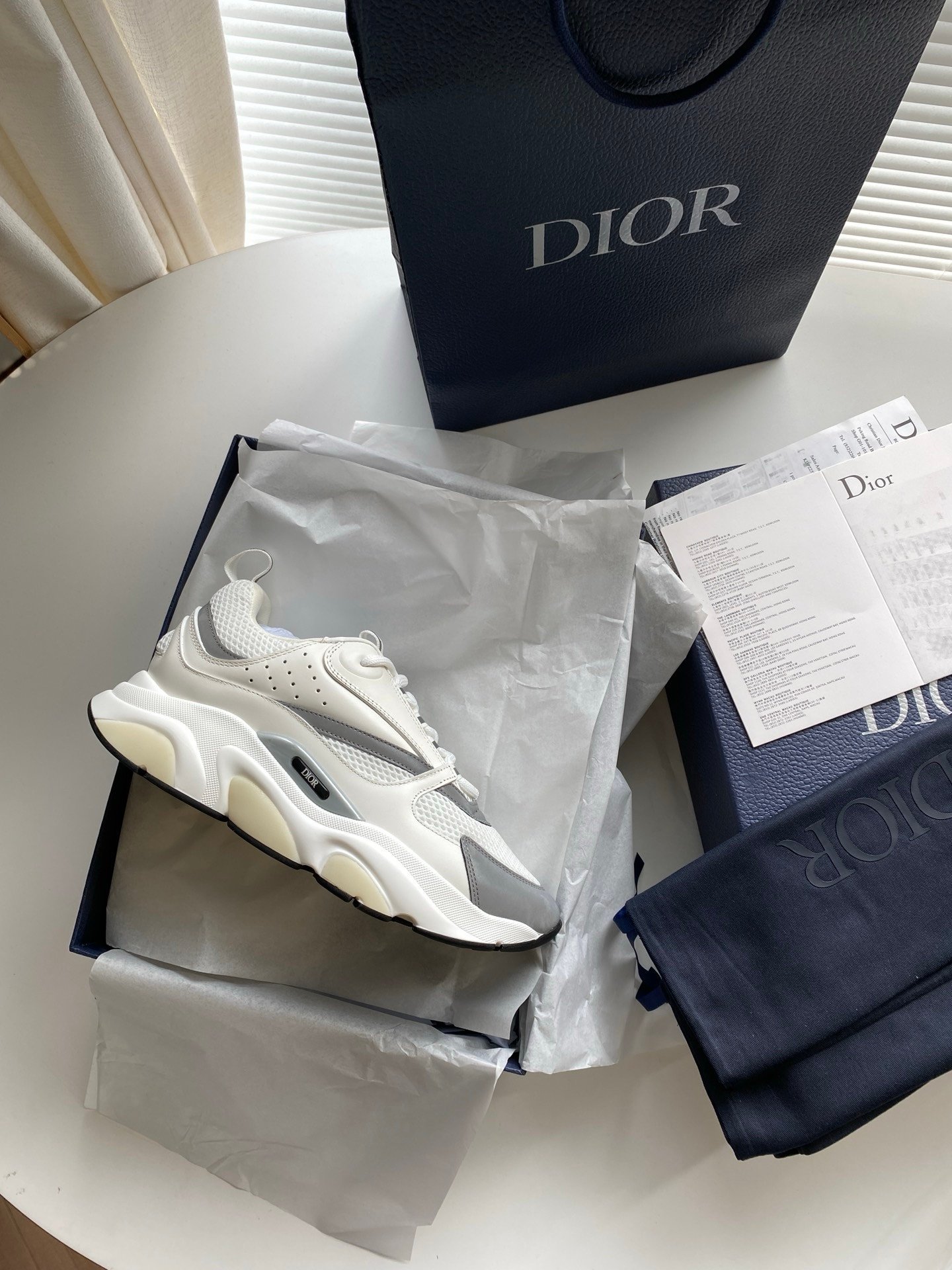 Dior B22 White Silver - Afbeelding 2