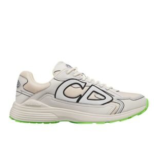 Dior B30 Reflective Beige Green