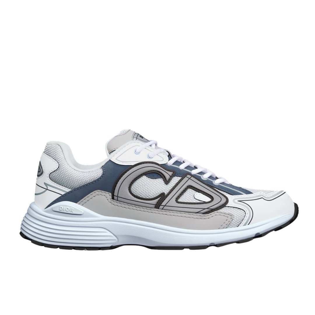 Dior B30 Reflective Grey/Blue