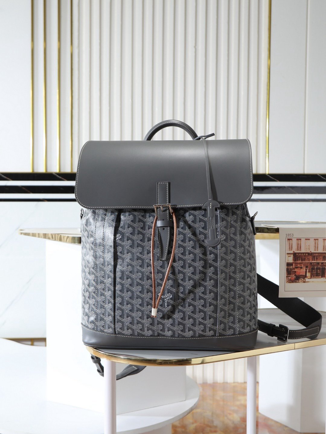 Goyard Alpin Backpack Grey Travel Carry On Weekend Bookbag - Afbeelding 2